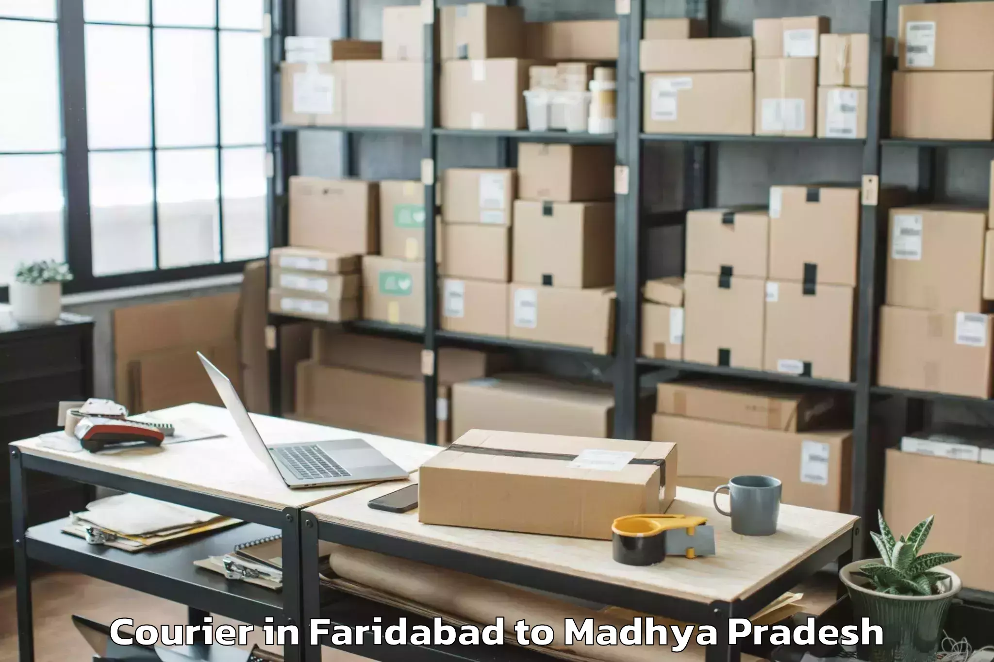 Book Your Faridabad to Thikri Courier Today